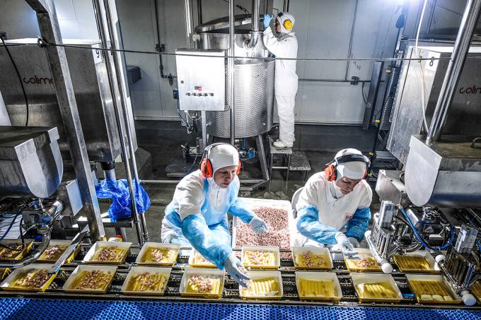 carne cultivada em laboratório é aposta da brf