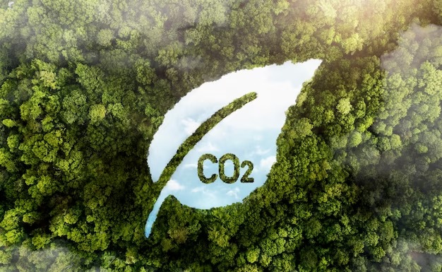 Descarbonização da indústria: Brasil e Alemanha debatem parceria